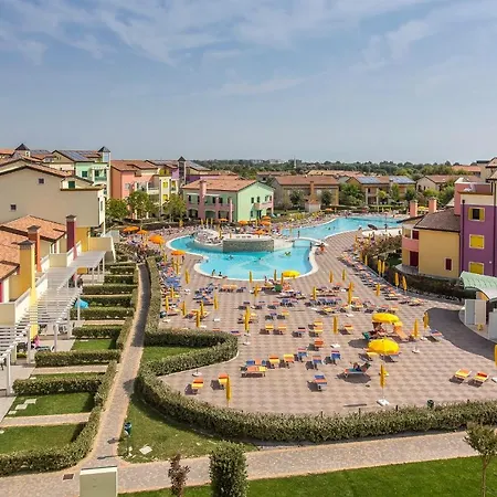 Mimose Lido Altanea *