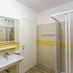 Mimose Lido Altanea