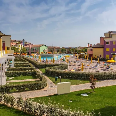 Mimose Lido Altanea *