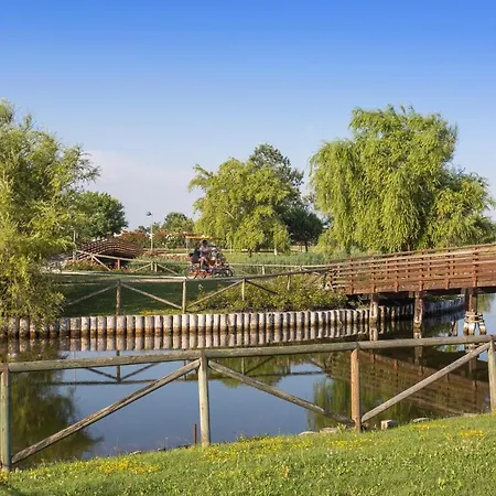 Mimose Lido Altanea *