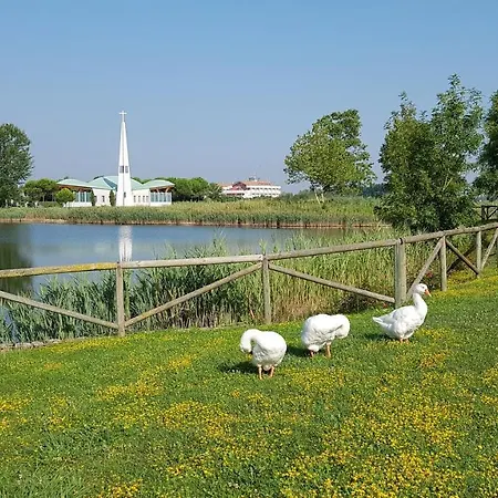 Mimose Lido Altanea * Caorle