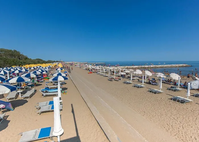 Mimose Lido Altanea Caorle